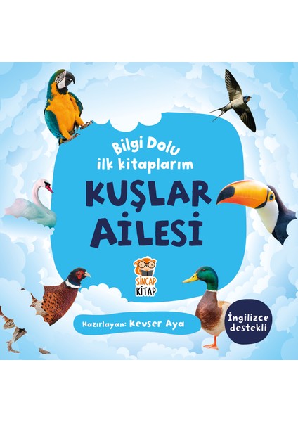 Bilgi Dolu İlk Kitaplarım / Kuşlar Ailesi - Kevser Aya