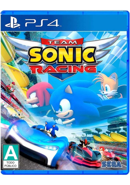 Team Sonic Racing PS4 Oyun