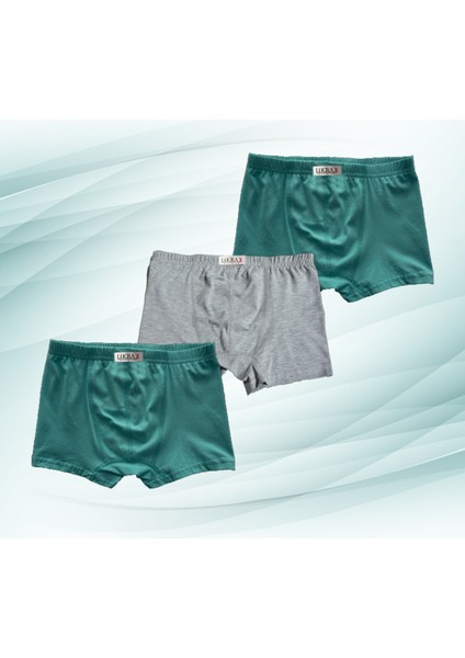 3'lü Erkek Çocuk Boxer ( 2 Adet Mint - Gri )