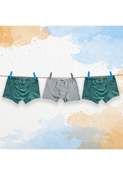 3'lü Erkek Çocuk Boxer ( 2 Adet Mint - Gri )