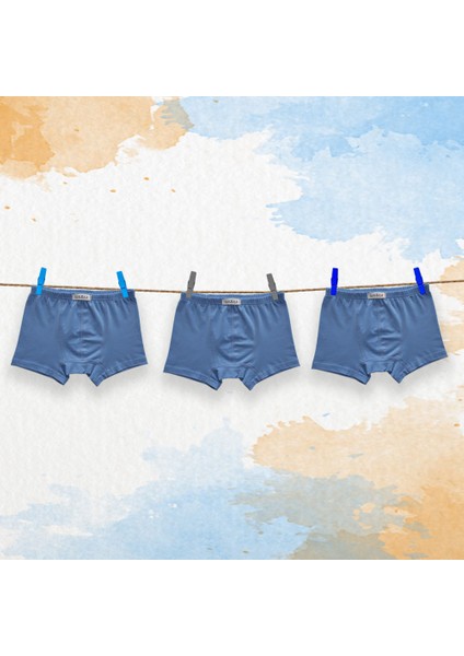 3'lü Erkek Çocuk Boxer ( 3 Adet Mavi )