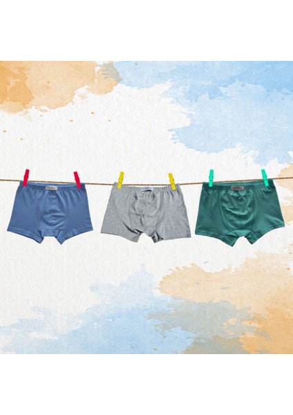 3'lü Erkek Çocuk Boxer ( Mavi - Gri - Mint )