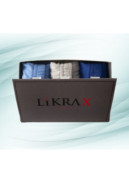 3'lü Erkek Çocuk Boxer ( Mavi - Gri - Saks Mavi )