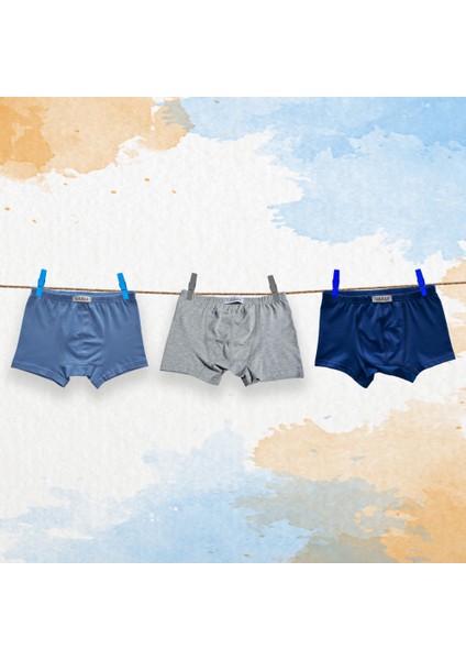 3'lü Erkek Çocuk Boxer ( Mavi - Gri - Saks Mavi )