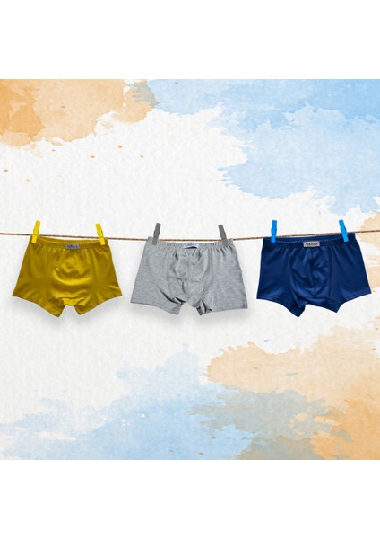 3'lü Erkek Çocuk Boxer ( Saks Mavi - Gri - Sarı )