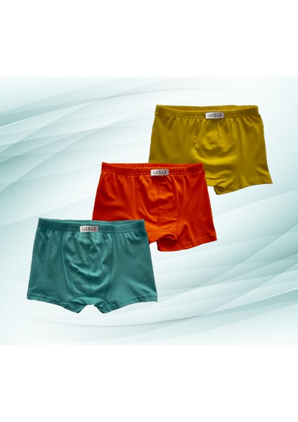 3'lü Erkek Çocuk Boxer ( Sarı - Mint - Turuncu )