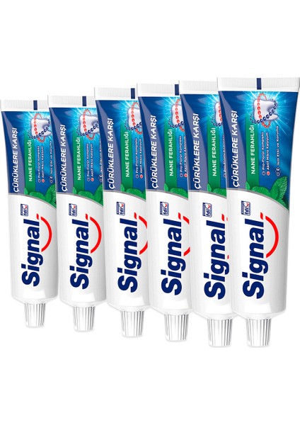 Diş Macunu Çürüklere Karşı Nane Ferahlığı 100 ml X6
