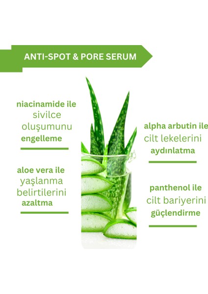 Niacinamide & Alpha Arbutin Serumu Aloe Vera Ekstreli Aydınlatıcı Temizleyici 30 Ml