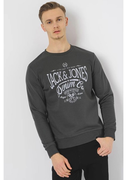 Erkek Sweatshirts 12251309 12251309001 fiyatları