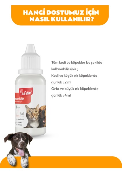 Immune Sıvı Kedi & Köpek Güçlendirme C Vitamini