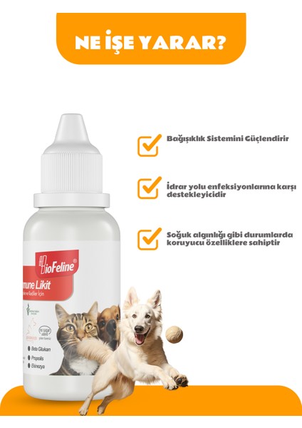 Immune Sıvı Kedi & Köpek Güçlendirme C Vitamini