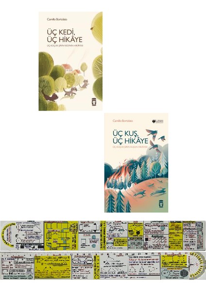 Üç Kedi, Üç Hikaye - Üç Kuş, Üç Hikaye 2 Kitap - Camillo Bortolato – Matematik Öğreten Ayraç