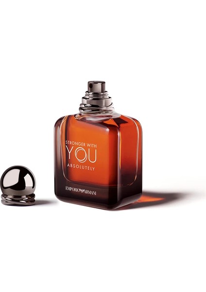 Armani Stronger With You Absolutely Erkek Parfüm 100 ml fiyatları