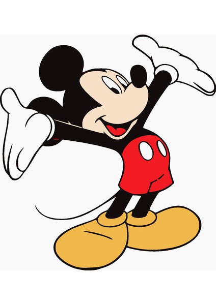 Sayılarla Boyama Seti Michey Mouse