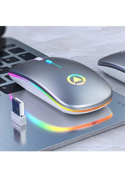 Kablosuz Bluetooth Sessiz LED Mause Şarj Edilebilir 2.4g Ergonomik Mini Fare USB Optik Pc Dizüstü