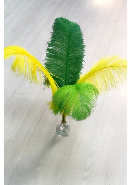 Deve Kuşu Tüyü 45-50 cm 1 adet