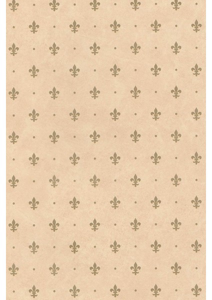 Desenli Yapışkanlı Kaplama Folyosu 45 cm x 5 Metre