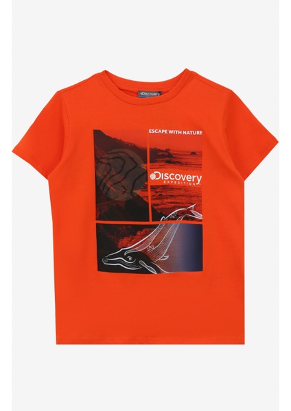 Baskılı Turuncu Kadın T-Shirt D4SG-TST3105