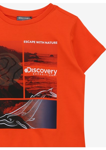 Baskılı Turuncu Kadın T-Shirt D4SG-TST3105 modelleri