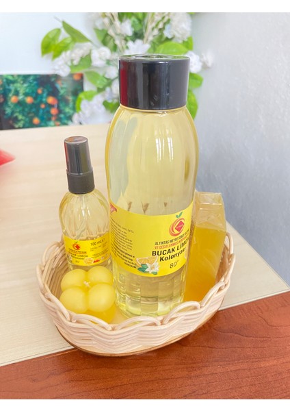 Limon Hediye Sepeti fiyatları