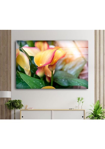 Canlı Renkli Çiçek Temperli Cam Duvar Tablosu