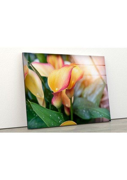 Canlı Renkli Çiçek Temperli Cam Duvar Tablosu fiyatları