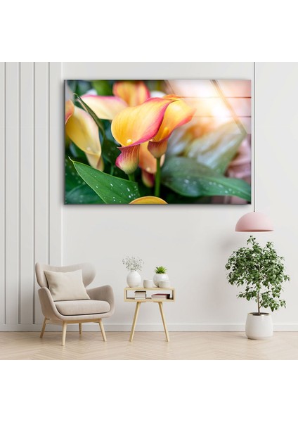 Canlı Renkli Çiçek Temperli Cam Duvar Tablosu modelleri