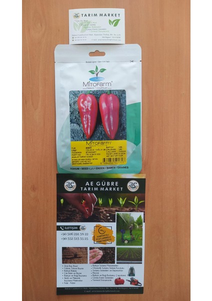 Yalova Yağlık 28 Biber Tohumu fiyatları