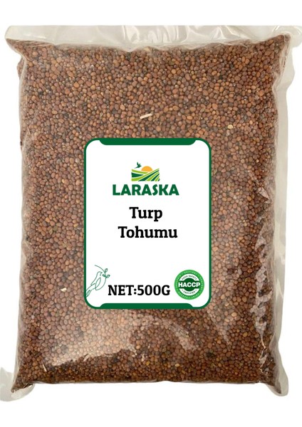 Turp Tohumu 500G - Radish Seed 500G