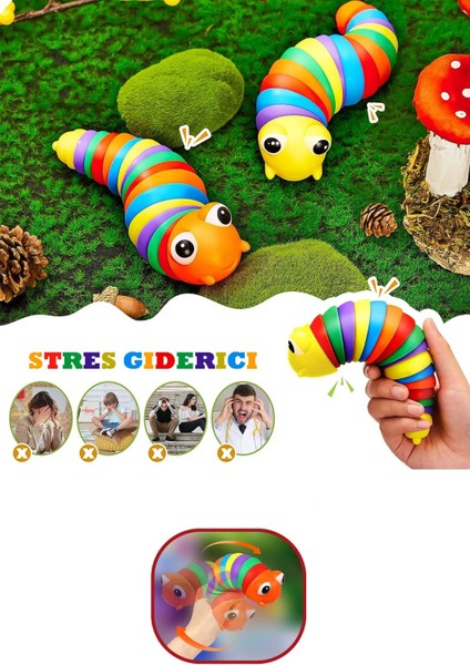 Söktak Eğlenceli, Stres ve Anksiyete Giderici Montessori Tırtıl Oyuncağı Renkli