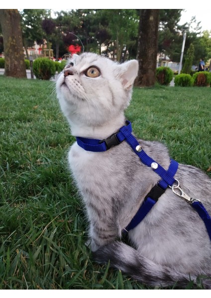 Ayarlanabilir Kedi TASMASI TGNR-767 modelleri