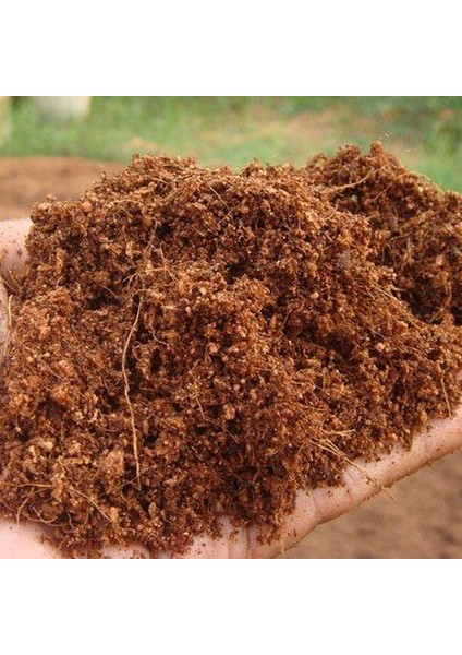 5 Adet 300 - 325 Litre Sıkıştırılmış Hindistan Cevizi Torfu - Blok Ithal Organik Cocopeat Kokopit fiyatları