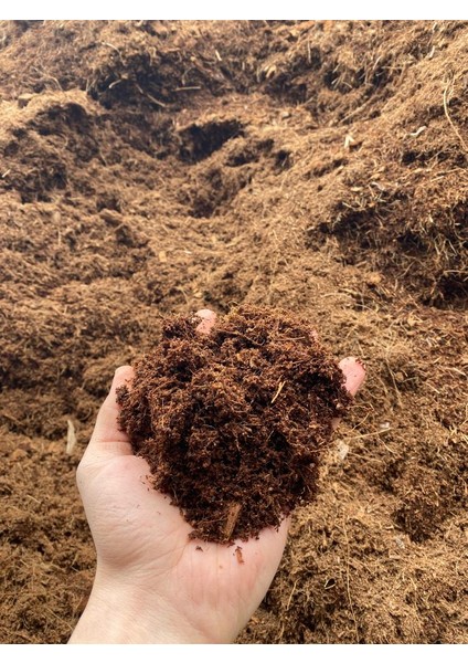 5 Adet 300 - 325 Litre Sıkıştırılmış Hindistan Cevizi Torfu - Blok Ithal Organik Cocopeat Kokopit fırsatları