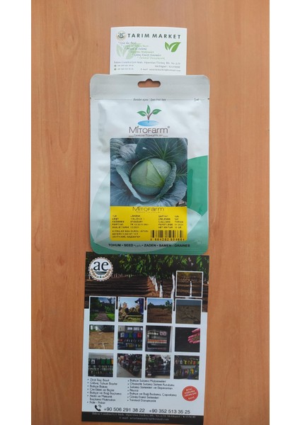 Yalova Lahana Tohumu modelleri