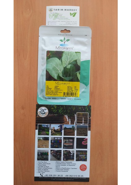 Reis Lahana Tohumu modelleri