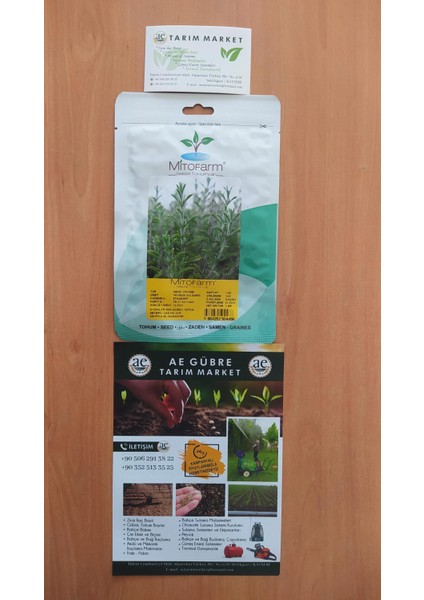 Thymus Vulgaris Kekik Tohumu fiyatları