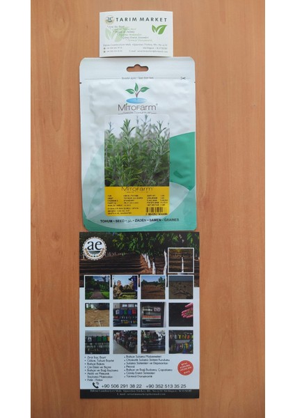 Thymus Vulgaris Kekik Tohumu modelleri