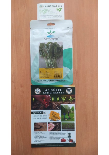 Sarma Pazı Tohumu fiyatları