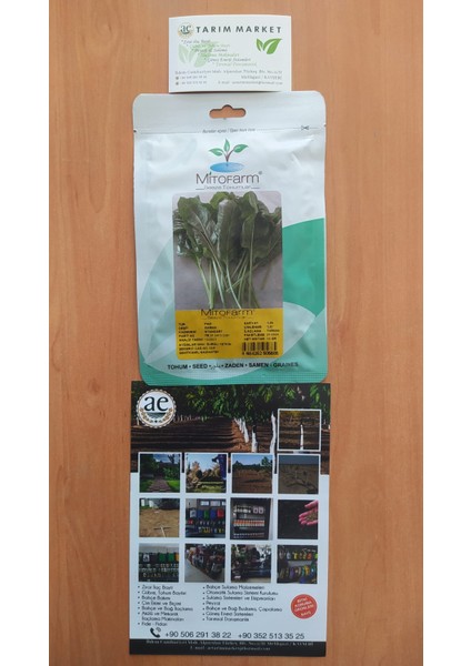 Sarma Pazı Tohumu modelleri