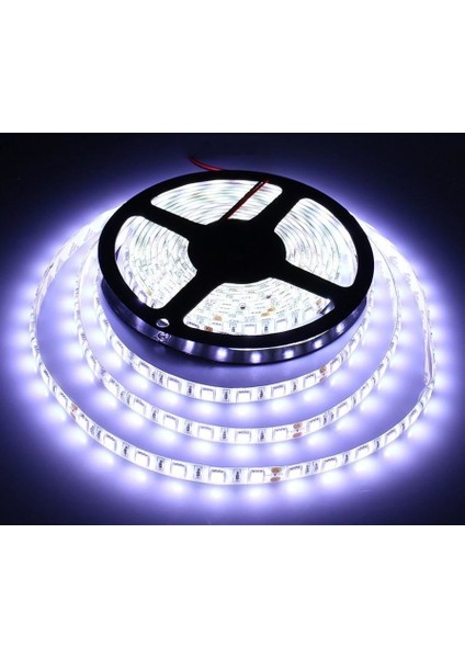Şerit LED 12 V Dış Mekan Beyaz 3 Çipli 5mt