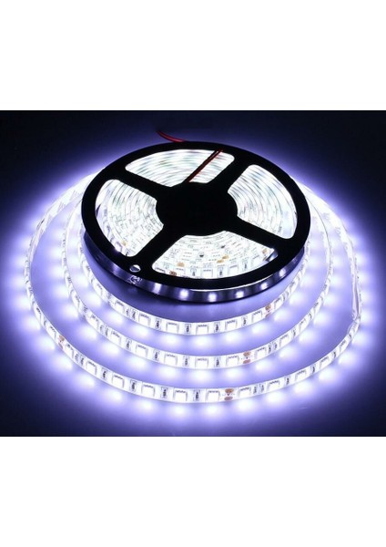 Şerit LED 12 V Dış Mekan Beyaz 3 Çipli 5mt fiyatları
