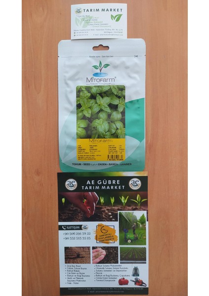 Yeşil Fesleğen Tohumu modelleri