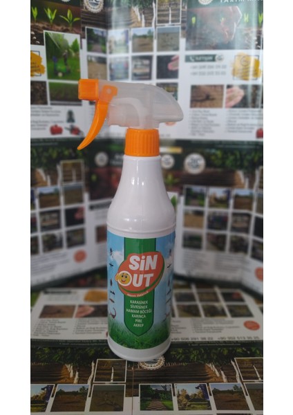 Sinout Haşere