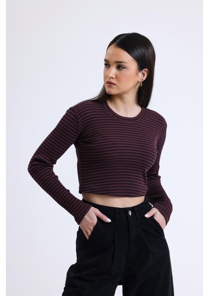 Kahverengi Lacivert Çizgili Bisiklet Yaka Uzun Kollu Fitilli Kaşkorse Crop Bluz