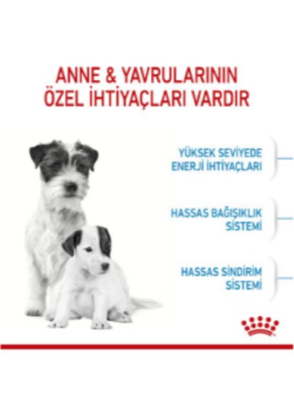Mini Starter Mother & Babydog Kuru Köpek Maması 4 kg