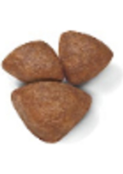 Mini Starter Mother & Babydog Kuru Köpek Maması 4 kg