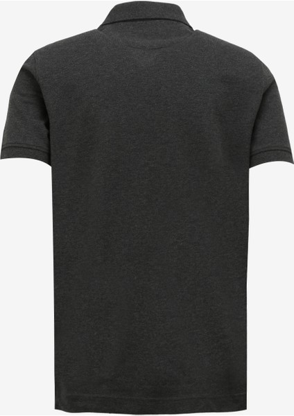 Polo Yaka Antrasit Erkek T-Shirt BBSP23MTS019