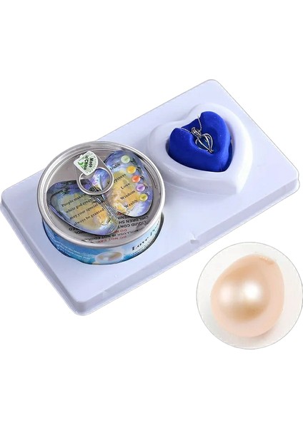 Istiridye Içinde Gerçek Inci Kolye