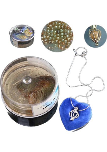 Istiridye Içinde Gerçek Inci Kolye fiyatları