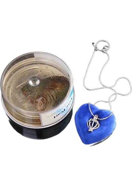 Istiridye Içinde Gerçek Inci Kolye modelleri